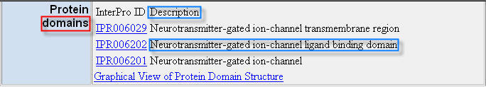 Mouse Genome Informatics (MGI)