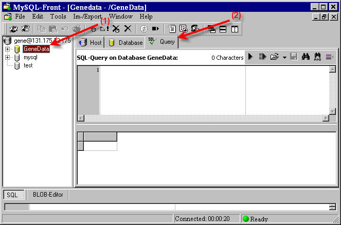 MySQL Front query panel