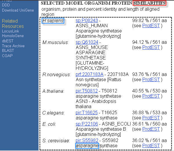 Example UniGene database HTML page