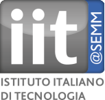 IIT image